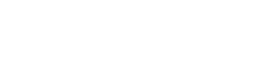 NetEngine